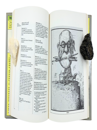 The Devil&rsquo;s Dictionary