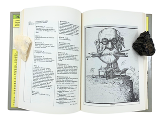 The Devil’s Dictionary