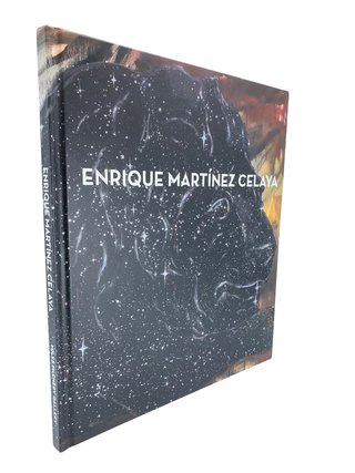 Item #254 The Foreigner&rsquo;s Song. Enrique Martinez Celaya