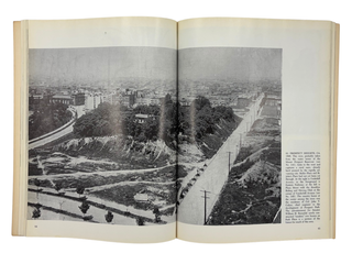 Old Brooklyn in Early Photographs: 1865–1929