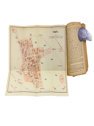 Naples and Environs (Grieben's Guide Books vol. 166)